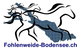 Fohlenweide Bodensee